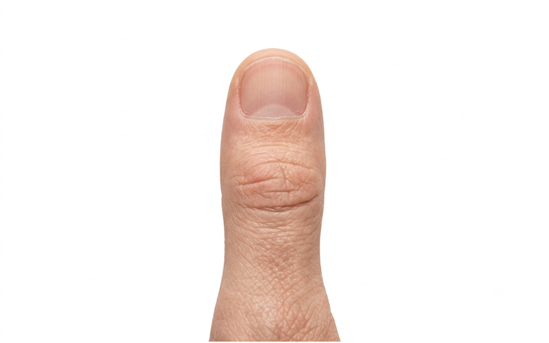 1 Inch Long