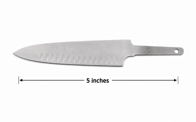 5 Inches Long