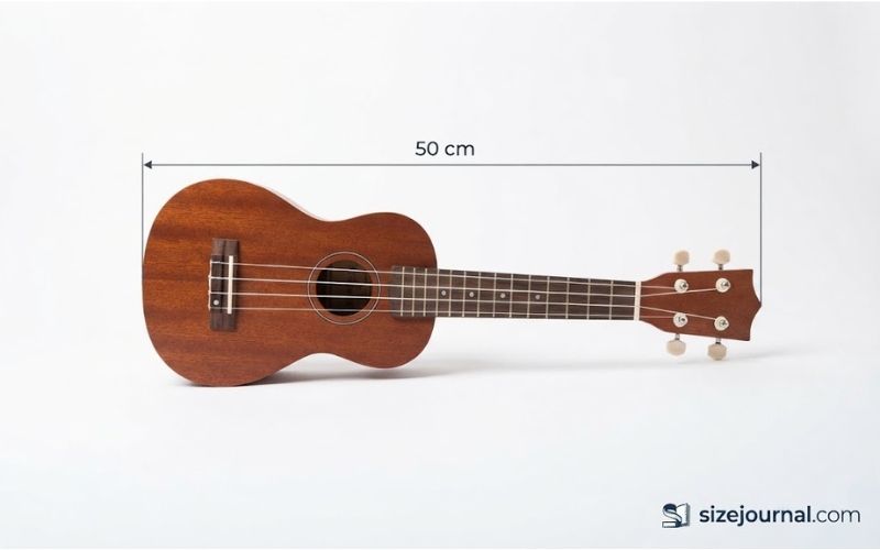 How Big is 50 cm