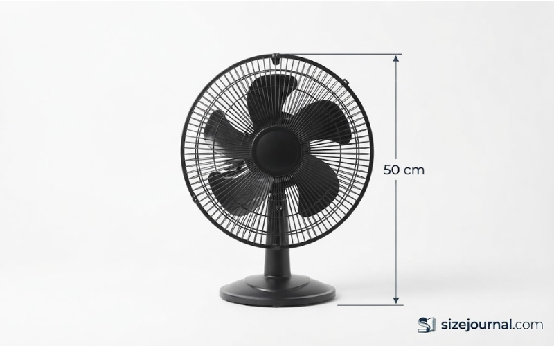 How Big is 50 cm