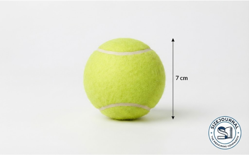 How Big is 7 cm